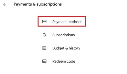 Payment & Sibscriptions > Payment Methods