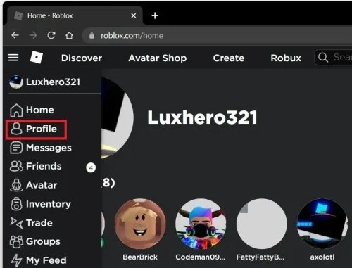 Roblox > Profile
