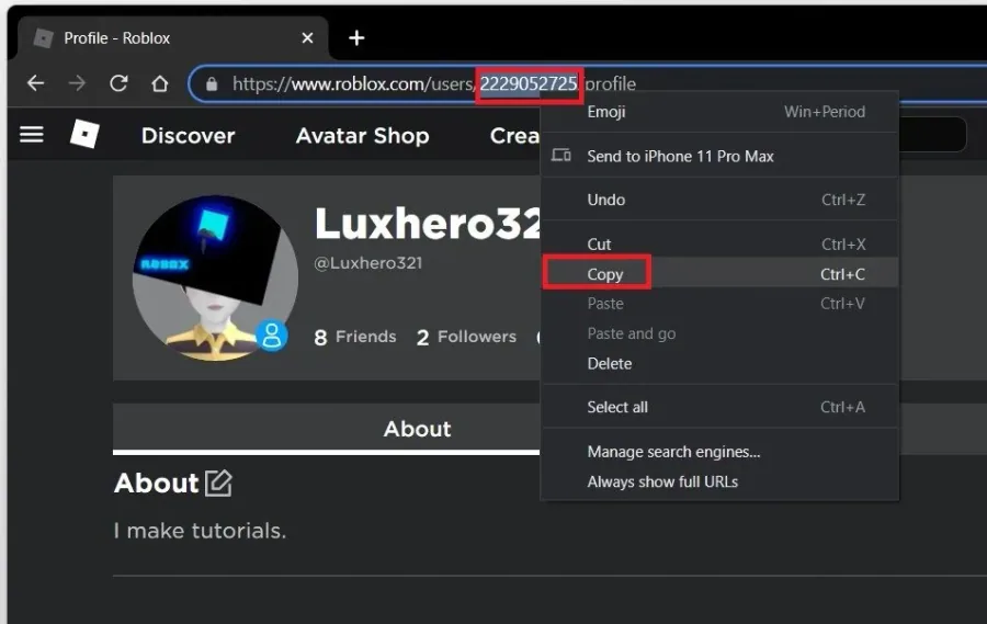 Copy the numbers of the Roblox account URL