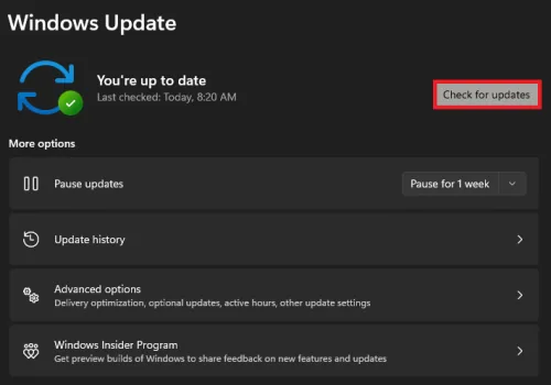 windows update