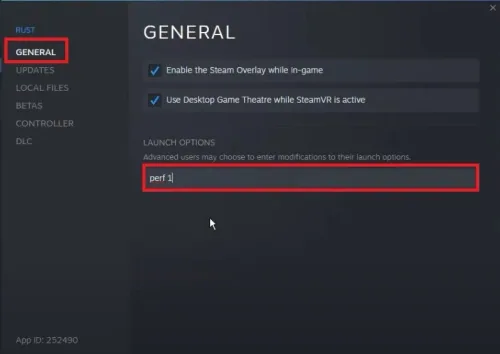 Rust Properties > General > Launch Options