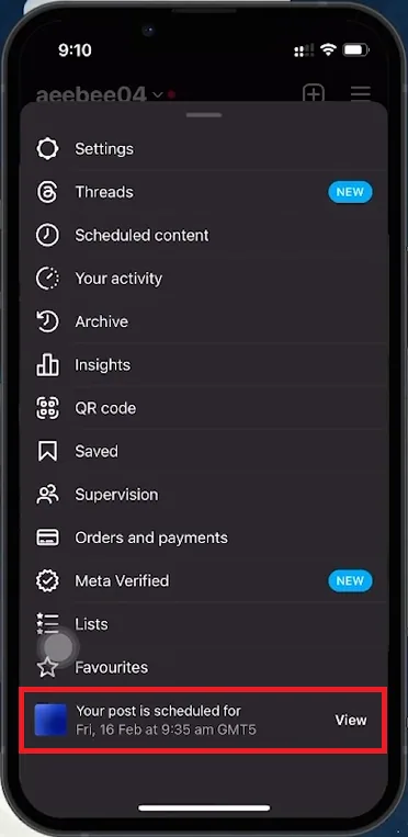 view scheduled posts