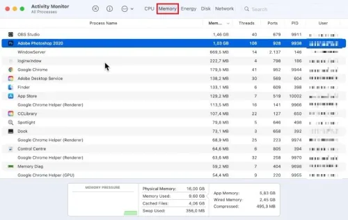 Activity Monitor > Memory
