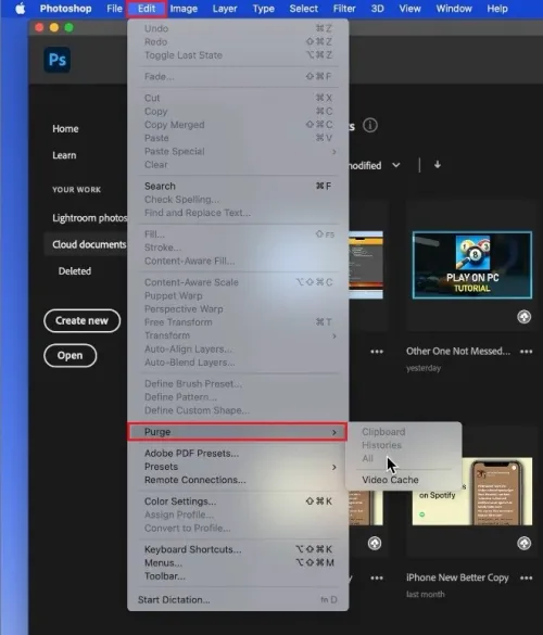 Photoshop > Edit > Purge