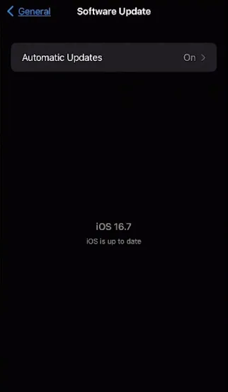 software update