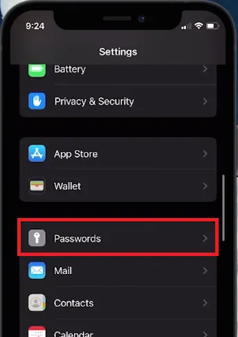 iphone password manager