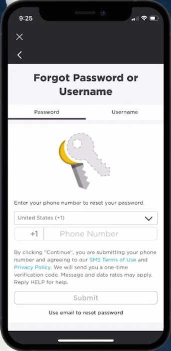 reset password