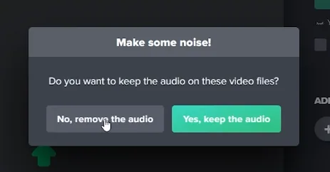 remove or keep audio