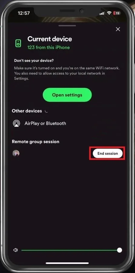 End Spotify Group Session
