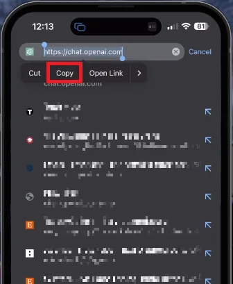 Copy the Chat.OpenAI.com Domain