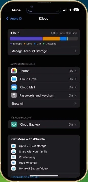 iPhone Settings > Apple ID > iCloud