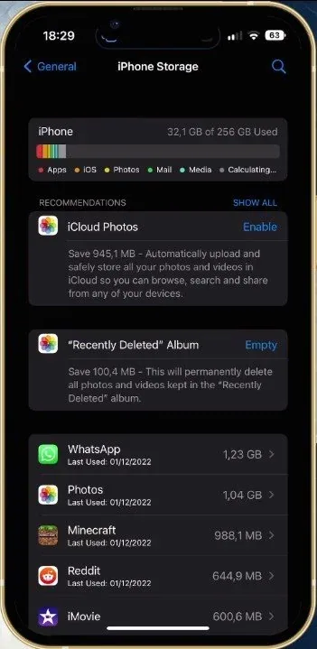 iPhone Settings > General > iPhone Storage
