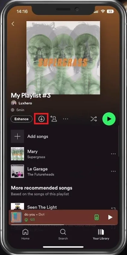 Download Songs in Playlist