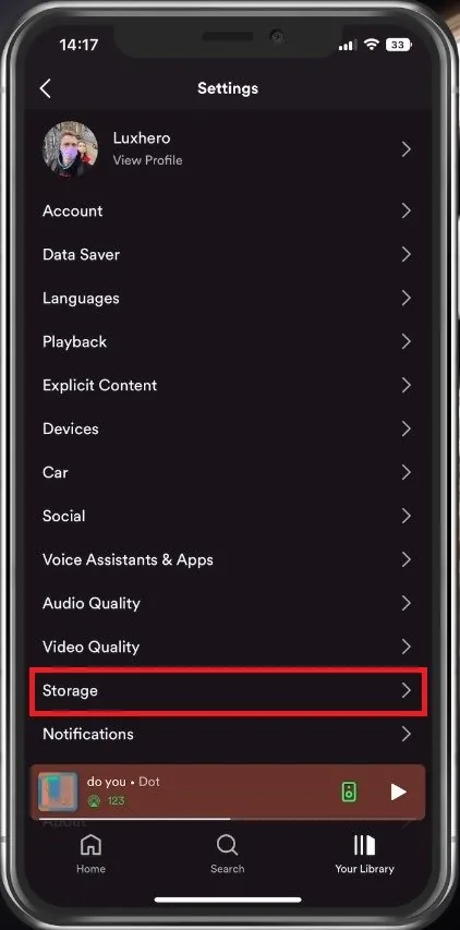 Spotify Settings > Storage