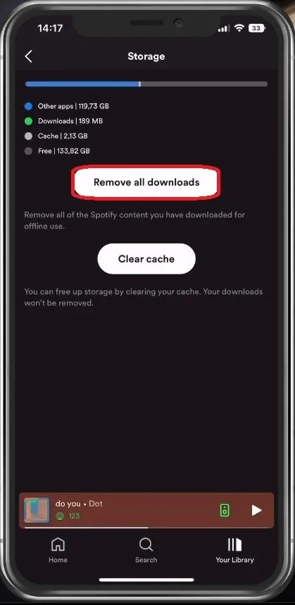 Remove All Spotify Downloads