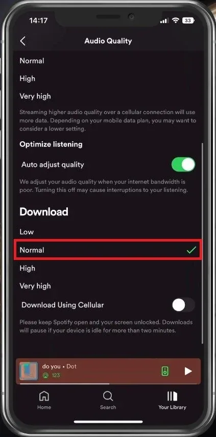 Spotify Settings > Download