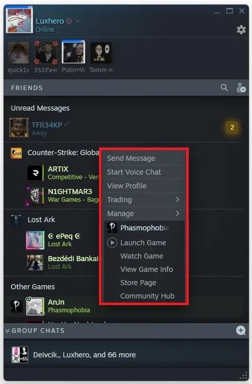 Steam Friends