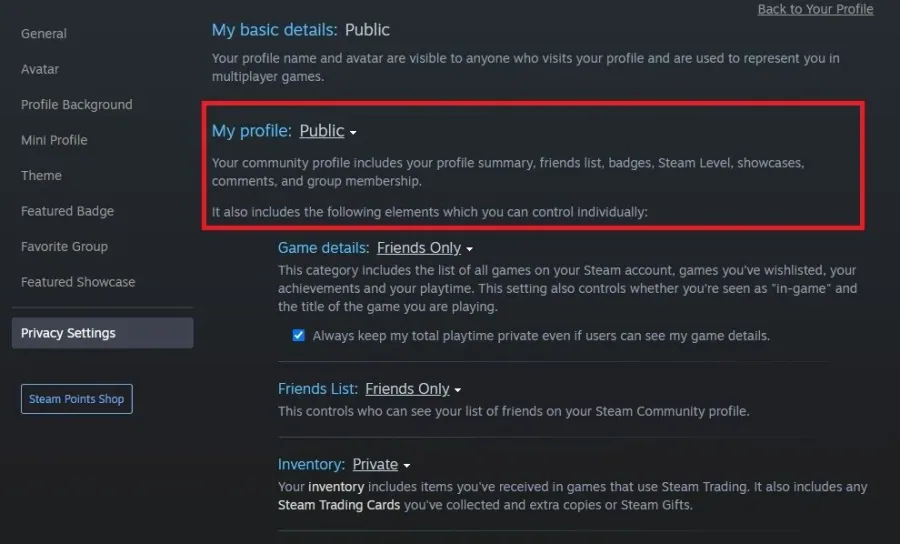 Steam Privacy Settings > My Profile > Public
