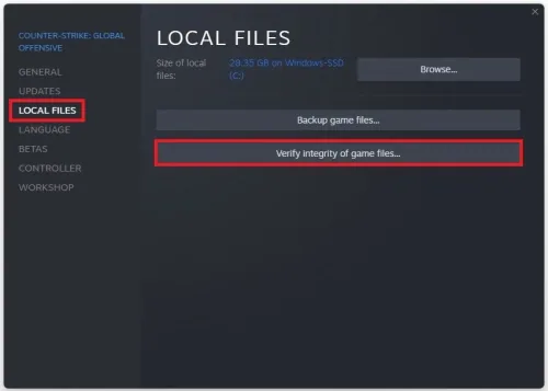 In the Local Files tab, select to Verify Integrity of Game Files