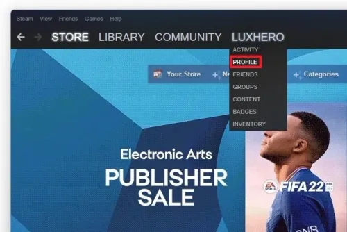 Steam > Username