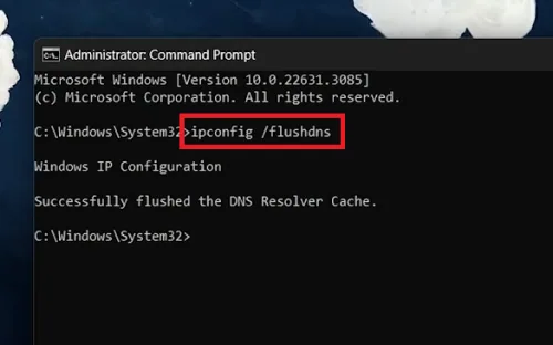 flush DNS cache
