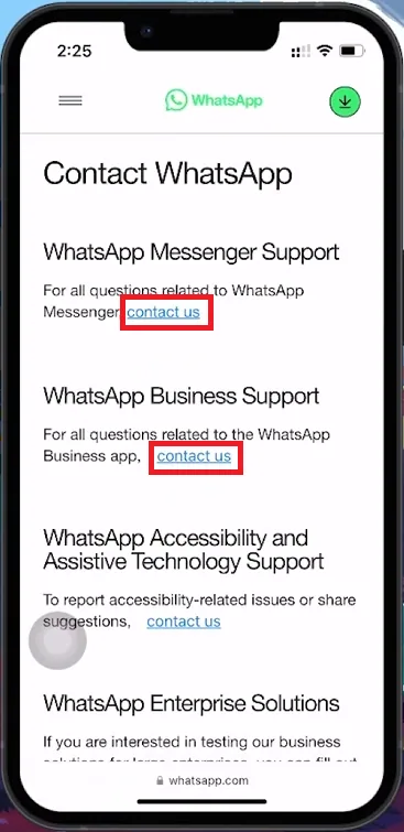contact whatsapp