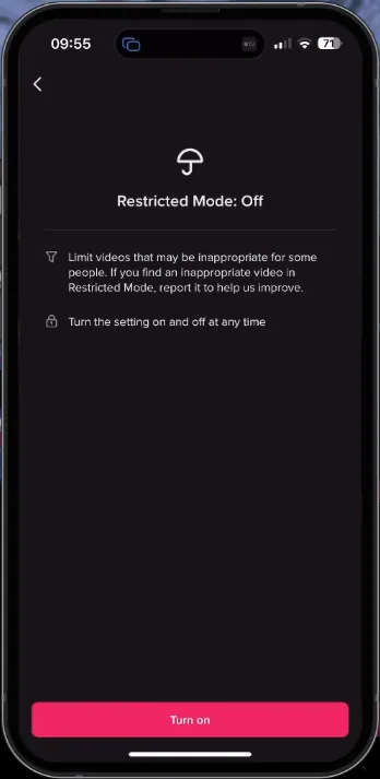 disable restricted mode in settings