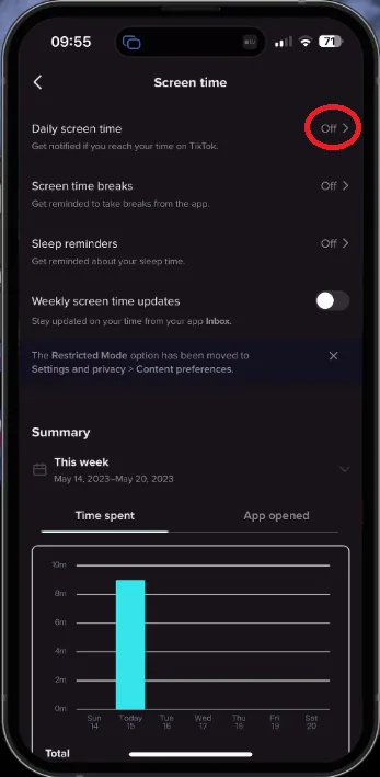 TikTok Screen Time Settings