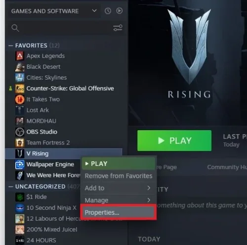 Steam Library > V Rising > Properties