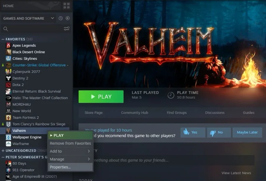 Valheim Steam.jpg