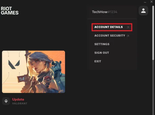 riot client account details