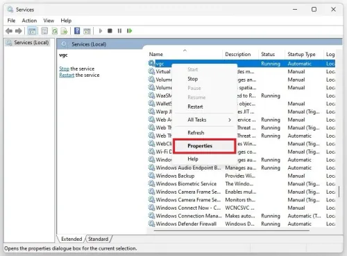 Windows Services Manager > VGC > Properties