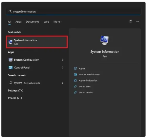 Windows System Information