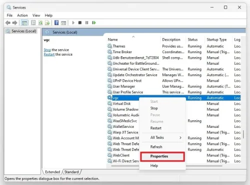 Windows Services Manager > VGC > Properties