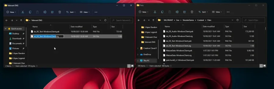 4 valorant change file name.jpg