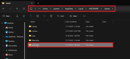 delete valorant webcache folder