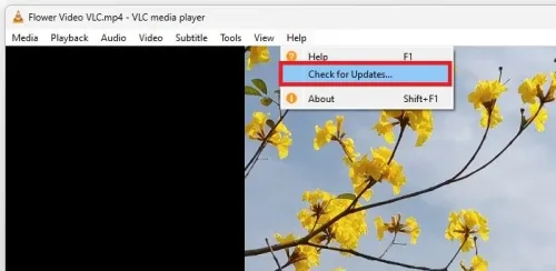 VLC Media Player > Help > Check for Updates