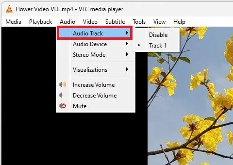 VLC Media Player > Audio > Audio Track