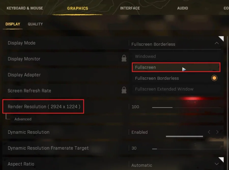 Warzone Settings > Graphics