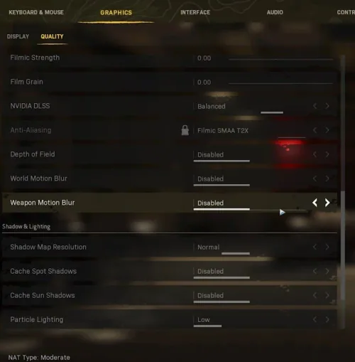 Warzone Custom Quality Settings
