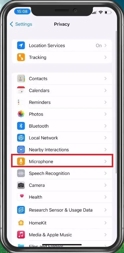 Privacy Settings > Microphone
