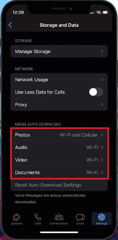 media auto download settings