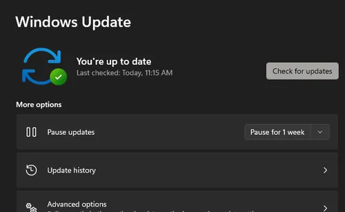 windows update