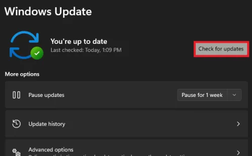 windows update