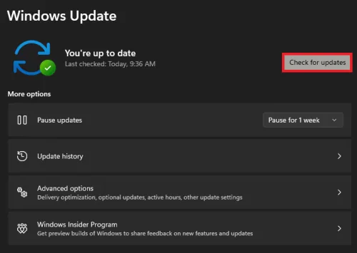windows update
