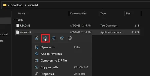 copy the dll file