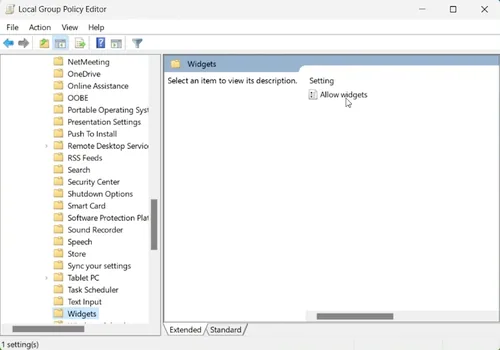 group policy editor widgets