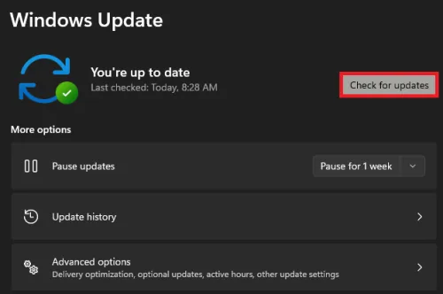 windows update