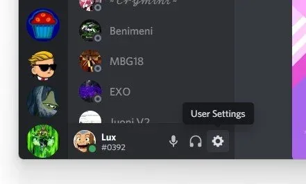 Discord User Settings