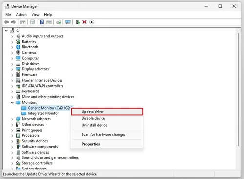 Device Manager > Monitors